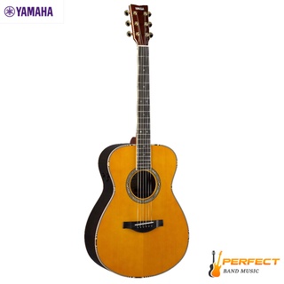 Yamaha LS-TA กีตาร์โปร่งไฟฟ้า ยามาฮ่า LS-TA ผ่อน 0 % นาน 10เดือน