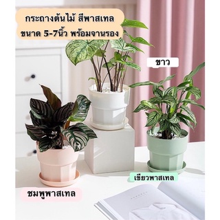 กระถางต้นไม้ พร้อมถาดรอง สีพาสเทล กระถาง พร้อมส่ง กระถางมินิมอล มีจานรอง กระถางต้นไม้ 5นิ้ว 7นิ้ว กระถางพลาสติก