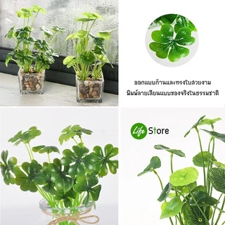 ต้นโคลเวอร์ /แว่นแก้ว(ใบบัวบก) ต้นไม้ประดิษฐ์ สวยงามเสมือนจริง (พร้อมส่งในไทย ถึงเร็วทันใจ)