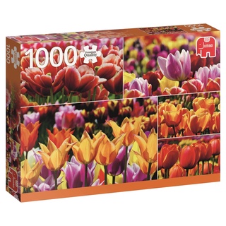 จิ๊กซอว์ Jumbo - Tulips from Holland  1000 piece  (ของแท้  มีสินค้าพร้อมส่ง)