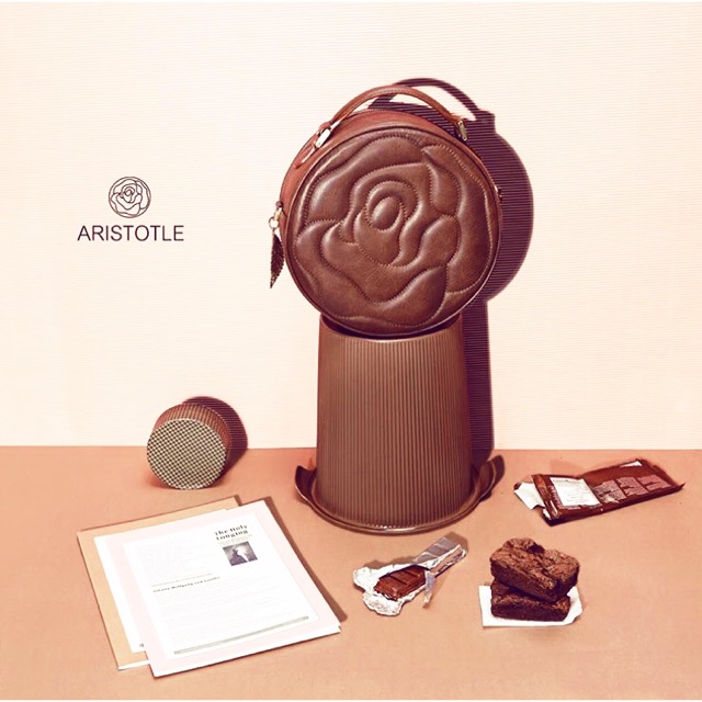 Aristotle Maxi Bag สี choco มือ1