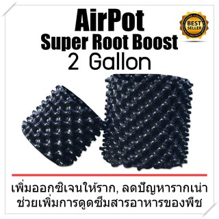 ส่งฟรี! Airpot Grow Bag กระถางปลูกต้นไม้ระบายอากาศ: 2 Ga ป้องกันรากเน่า ช่วยให้อากาศถ่ายเท เซ็ต 1-4 ใบ ใช้ซ้ำได้