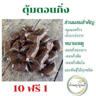 ตุ้มตอนกิ่ง (ขุยมะพร้าวผสมน้ำยาเร่งราก) 10 ฟรี 1