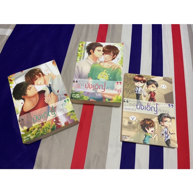 [ มือ 2 ] My Accidental Love is You รักนี้บังเอิญคือคุณ + เล่มพิเศษ (3เล่ม)