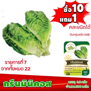 (ซื้อ10แถม1 ฟรีคู่มือ) เมล็ดพันธุ์ กรีนมินิคอส GREEN MINICOS  0.5กรัม (ประมาณ 500เมล็ด) เบบี้คอส ทำมะชาดฟาร์ม ผักสลัด