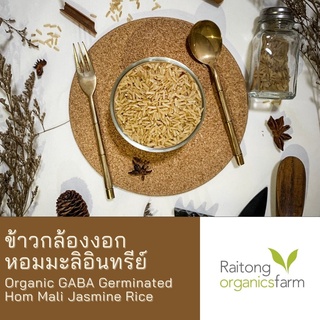 ข้าวกล้องงอกหอมมะลิอินทรีย์ มีใบรับรอง เกรดส่งออก Certified Organic GABA Germinated Hom Mali Jasmine Rice