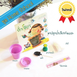 ของเล่น Home School ชุดเพาะถั่วเขียวพร้อมหน้าบันทึกการเติบโต พร้อมอุปกรณ์ 6 ชิ้นปลูกได้ทันที (พร้อมส่ง)