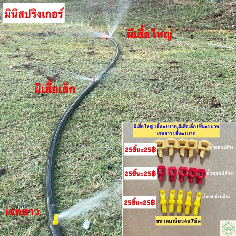 มินิสปริงเกอร์ มินิสปริงเกอร์ท่อpe มินิสปริงเกอร์ปีกผีเสื้อใหญ่ ปีกผีเสื้อเล็ก เจทยาว