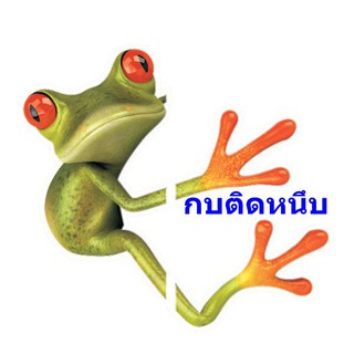 สติ๊กเกอร์กบ 3D