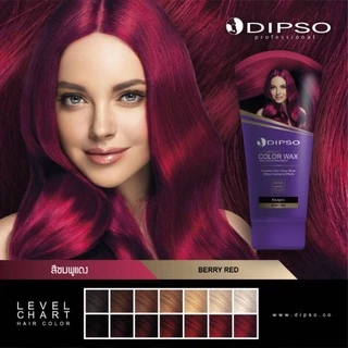 DIPSO ดิ๊พโซ่​ ทรีทเม้นท์แว๊กซ์เปลี่ยนสีผม สูตรปราศจากแอมโมเนีย ปริมาณ​ 150​ มล.