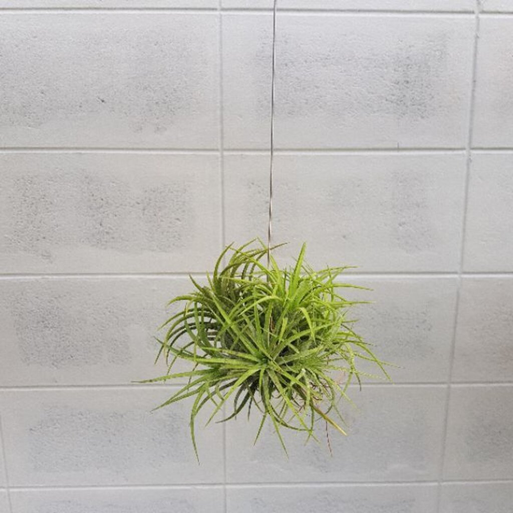 มุมมอง 3