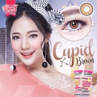 👑Bigeyes Cupid Brown👑สายตาปกติ(kitty kawaii)