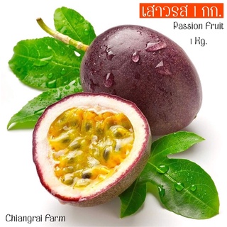 🍃1 กก. เสาวรสหวานพันธุ์ไทนุง เก็บใหม่สดทุกวันจากสวนเชียงราย Passion Fruit หวานอมเปรี้ยว