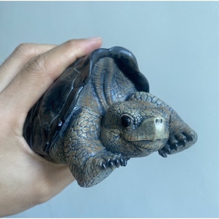 โมเดลเต่า Galápagos Tortoise Model 15cm