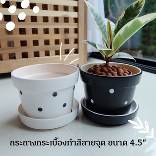 กระถางต้นไม้ลายจุด ขนาด 4.5นิ้ว 🌱พร้อมจานรอง สไตล์มินิมอลน่ารัก