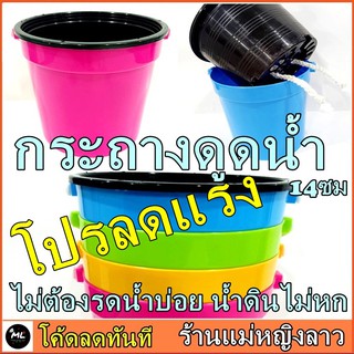 SALE กระถาง รดน้ำ อัติโนมัติ 14ซม กลม ดูดน้ำ พลาสติก สี ปลูก สลัด ผัก เมล็ด ทานตะวัน แคคตัส ข้าวสาลี ขาว อิฐ เหลี่ยม