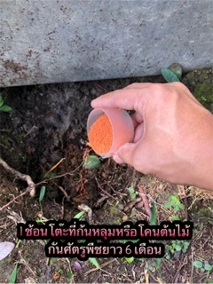 ฟีโนขาบ 6G ฟีโนบูคาร์บ สารกำจัดแมลงแบบดูดซึมสูตรดีที่สุด แบ่งขาย 1kg กำจัดหนอน เพลี้ย ฆ่าแมลง ด้วงมะพร้าว ใช้แทน ฟูราดาน