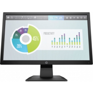 HPI Com Monitor RR_HP P204v 19.5-inch Monitor