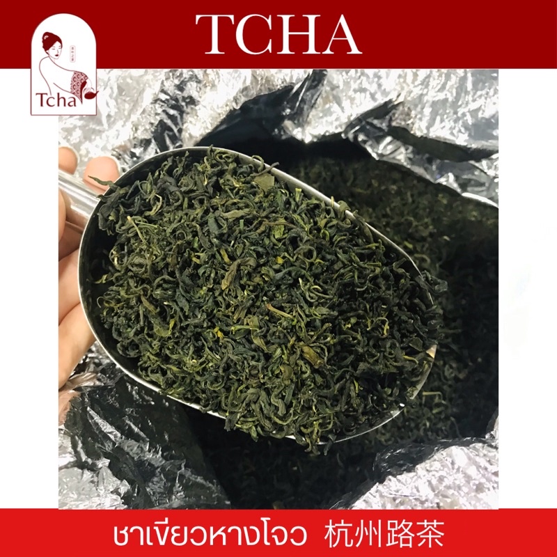TCHA | ชาเขียวหางโจวฤดูใบไม้ผลิ (ชุนฉา) ปี 2024 杭州路茶 2024年 春茶 Hangzhou Green Tea 2024 Spring Season