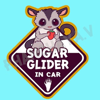 DIC63 สั่งทำ สติ๊กเกอร์ ติดรถ " Sugar Glider IN CAR " ชูการ์ไกลเดอร์  จิงโจ้บิน ชูก้า ไกลเดอร์ สติ๊กเกอร์ติดรถ แต่งรถ