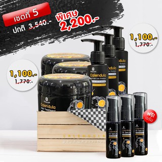 แชมพูดาวเรือง (3 ขวด) + ทรีทเม้นท์ดาวเรือง ไฉไล Chai lai Calendula Hair Treatment ทรีทเมนต์ผมดาวเรือง ( 3 กระปุก )