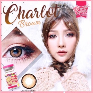 🧁Bigeyes Charlot Brown🧁สายตาปกติ(0.00)(kitty kawaii)