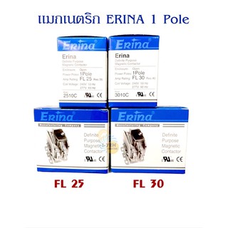 แมกเนตริก Erina 1Pole