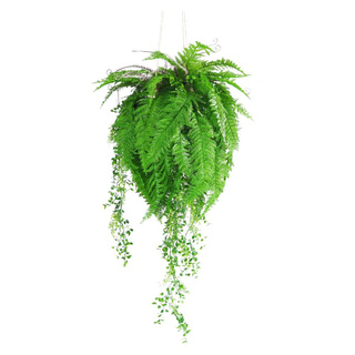 🔥ดีสุดๆ กระเช้าเฟิร์นประดิษฐ์  TY-H03 ARTIFICIAL FERN WITH HANGING BASKET SPRING TY-H03 สินค้าคุณภาพสูง