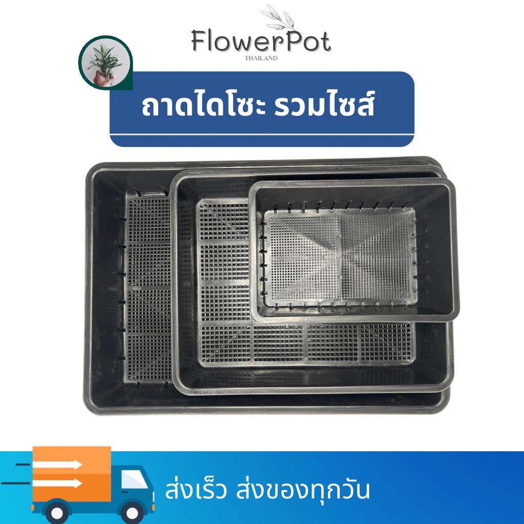 ถาดไดโซะ เพาะต้นอ่อน (รวมไซส์)  ใส่กระถางแคคตัส กระบองเพชร เพาะเมล็ด