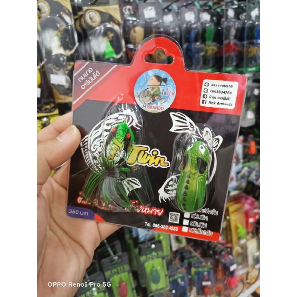 กบTAWINของน้าnikแพ็กคู่