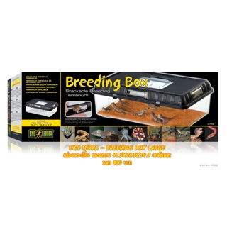 PT2280 Exo Terra - Breeding Box Large กล่องเพาะเลี้ยง ขนาดกลาง 41.5x26.5x14.8 เซนติเมตร