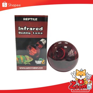 Lucky Herp หลอดไฟอินฟราเรด (Infrared) 75W สำหรับสัตว์เลี้ยงทุกชนิด ให้ความร้อน ความอบอุ่นและไม่กวนตาสัตว์ในเวลากลางคืน