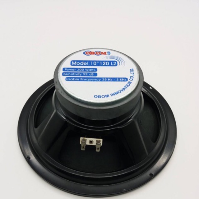 ลำโพง 10” 300W โอบอ้อม รุ่น120L2