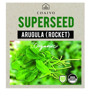 เมล็ดพันธุ์ร็อกเก็ต ชัยโย 880 เมล็ด ARUGULA (ORGANIC) (ROCKET) 880 SEEDS