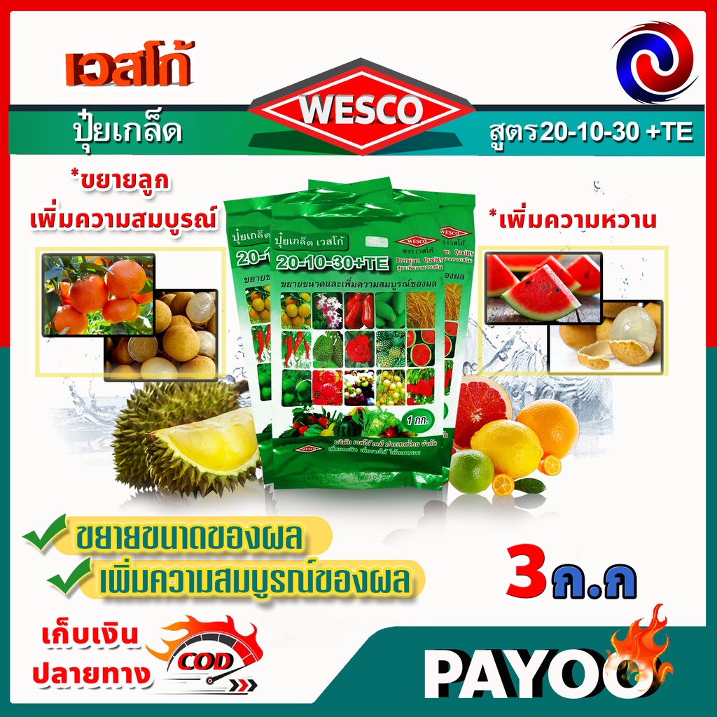 บรรจุ 3 กิโลกรัม WESCO ปุ๋ย 20-10-30 +TE (ธาตุรองเสริม) ปุ๋ยเกล็ด ปุ๋ยเกร็ด เวสโก้ ขยายขนาดและเพิ่มความสมบูรณ์ของผล