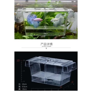 กล่องแยกเลี้ยงปลา กุ้ง ลูกปลา ปลาป่วย ในตู้ปลา Breeder Box