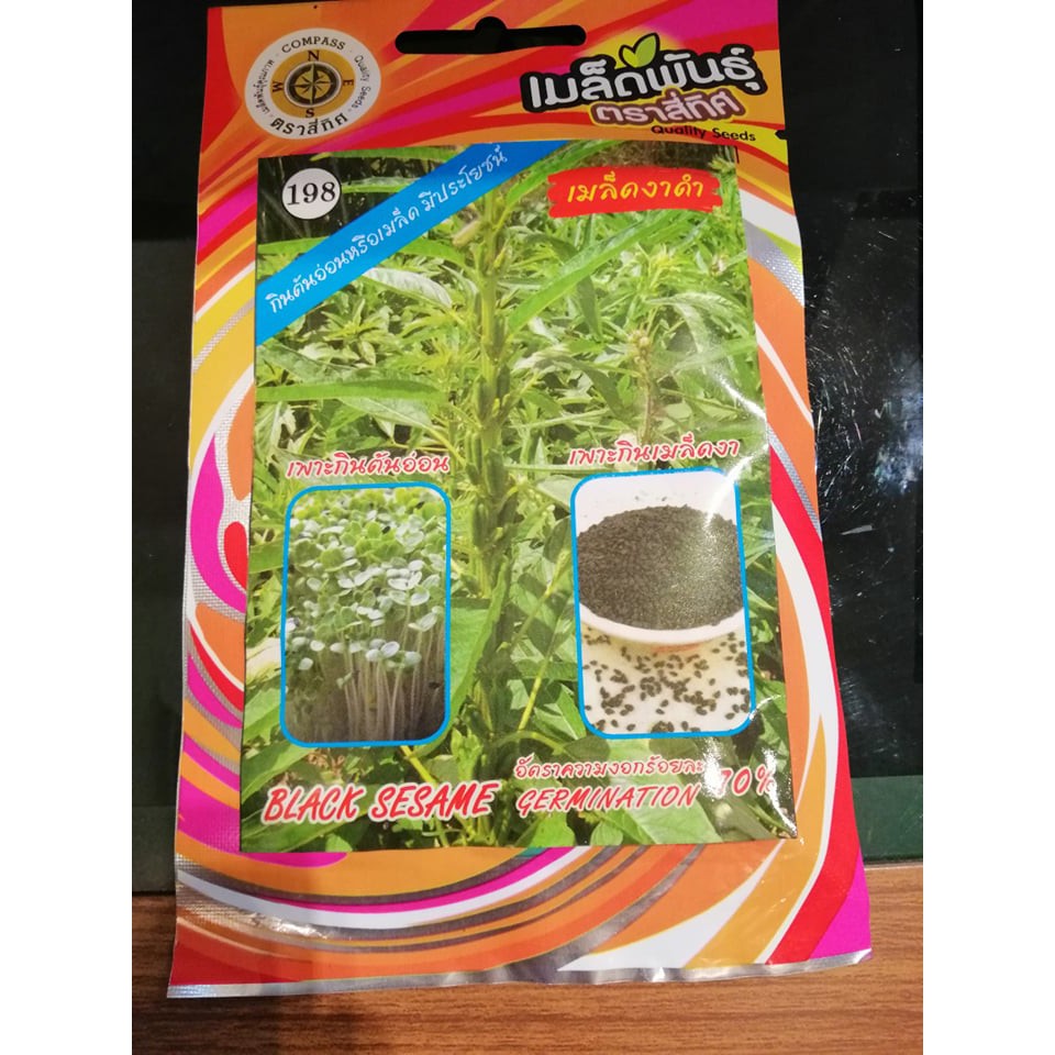เมล็ดงาดำ เมล็ดงา ต้นอ่อนเมล็ดงา ต้นอ่อนงาดำ 10 แถม 1 คละได้ เมล็ดผัก เมล็ดพันธุ์