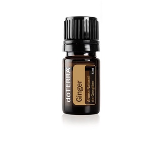 Ginger 5 ml. Zingiber officinale