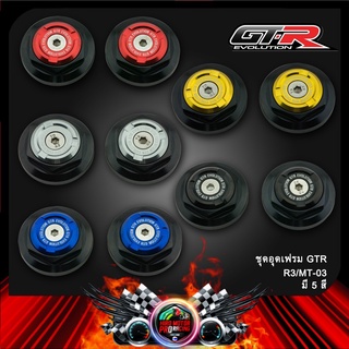 ชุดอุดเฟรม GTR R3/MT-03