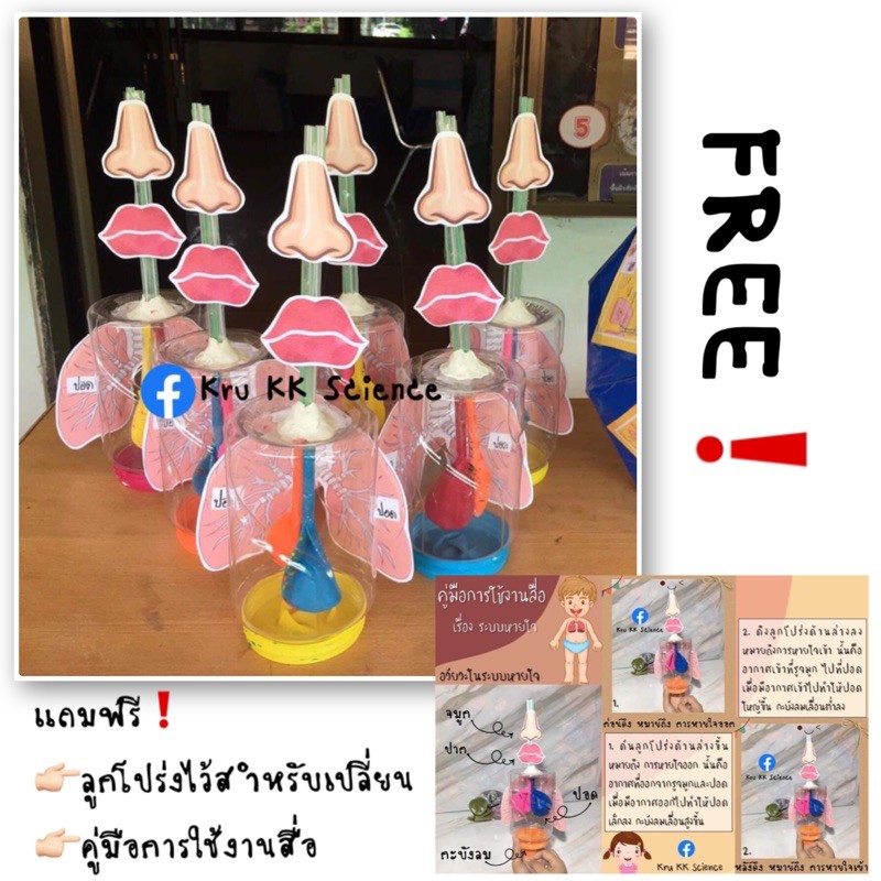 สื่อการสอน เรื่อง ระบบหายใจ พร้อมคู่มือการใช้สื่อ และเเถมฟรีลูกโป่ง