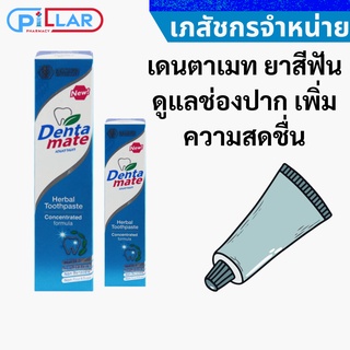 Dentamate 40 g เดนตาเมท ยาสีฟัน ดูแลช่องปาก เพิ่มความสดชื่น