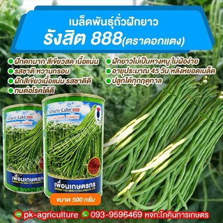 เมล็ดพันธุ์ถั่วเนื้อ รังสิต 888