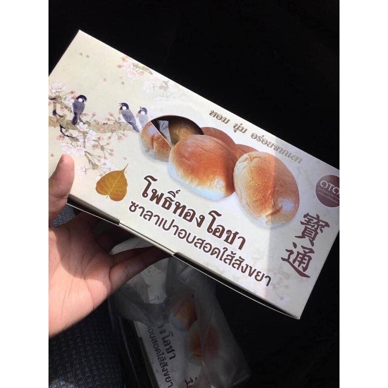 โพธิ์ทอง โอชา ซาลาเปาอบ ไส้สังขยาโบราณ จ.ตรัง