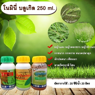 โนมินี่บลูเกิล 250ml. บิสไพริแบค-โซเดียม+ฟีโนซาพรอป-พี-เอทิล กำจัดหญ้านาข้าว หญ้าแดง ดอกขาว หญ้าข้าวนก allaboutplants