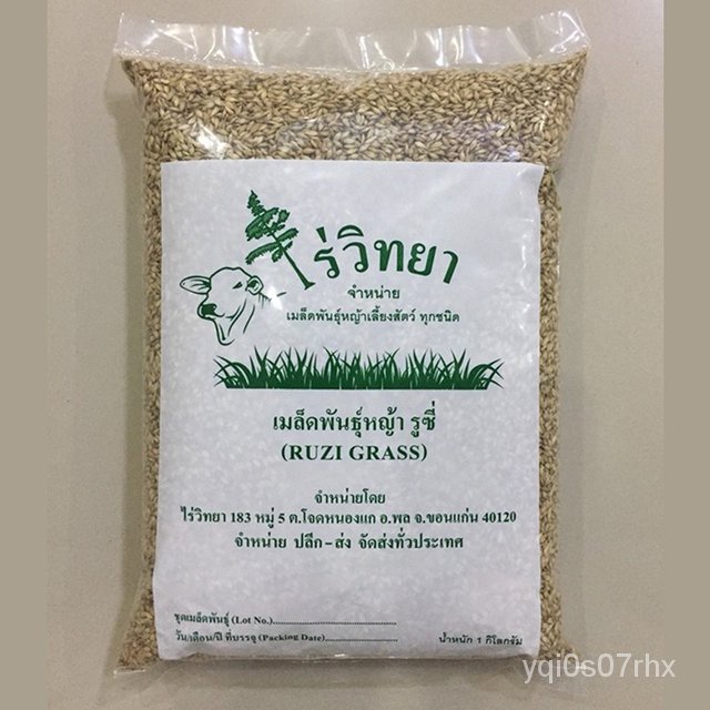 Plyajdagi fotosuratga qarang