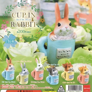 // ✿ ยกชุดพร้อมส่ง ✿ กาชาปองกระต่ายในแก้ว gashapon