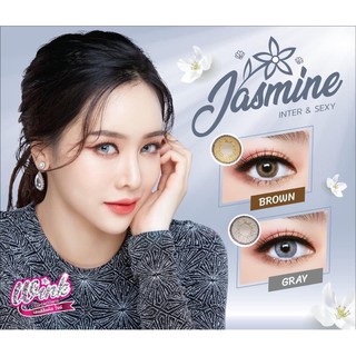 คอนแทคเลนส์ Wink Lens Jasmine ค่าสายตา 0.00 ถึง -5.00