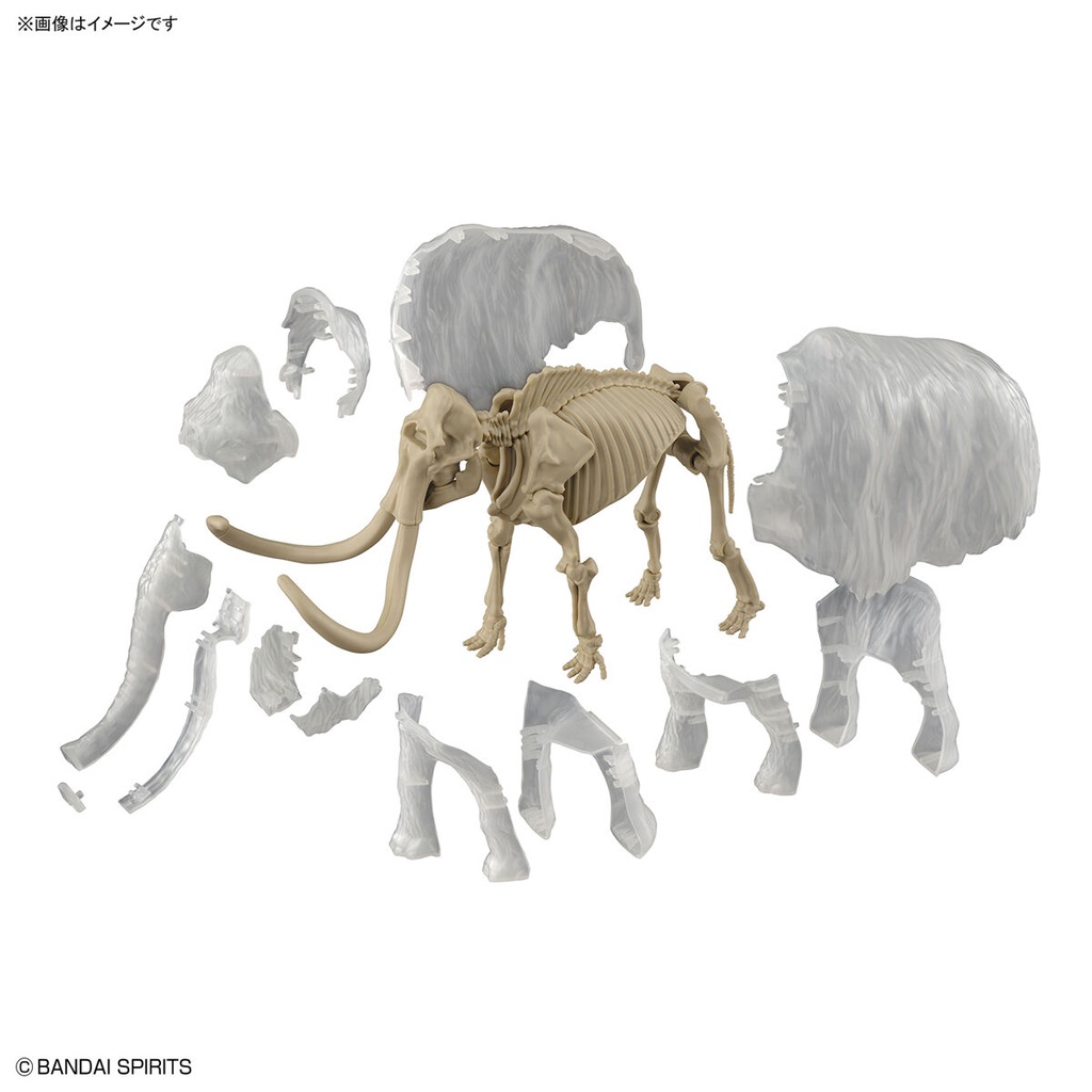 Exploring Lab Nature Mammoth ราคา ถูกที่สุด ดีลบีเคเค แกลเลอรีภาพที่ 9