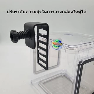 กล่องอคริลิค แยกเลี้ยงปลา กุ้ง ในตู้ปลาใหญ่ แบบแขวน แบบ 1 ช่อง พร้อมตะแกรงสแตนเลส 304 Aquarium Fish Tank Box Hang On