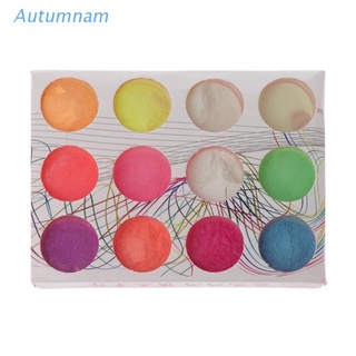 Autu ผงสีเรืองแสงในที่มืด 12 สี สําหรับทําเครื่องประดับ DIY